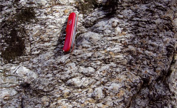 Il monte Caslano sommerso dai ghiacci